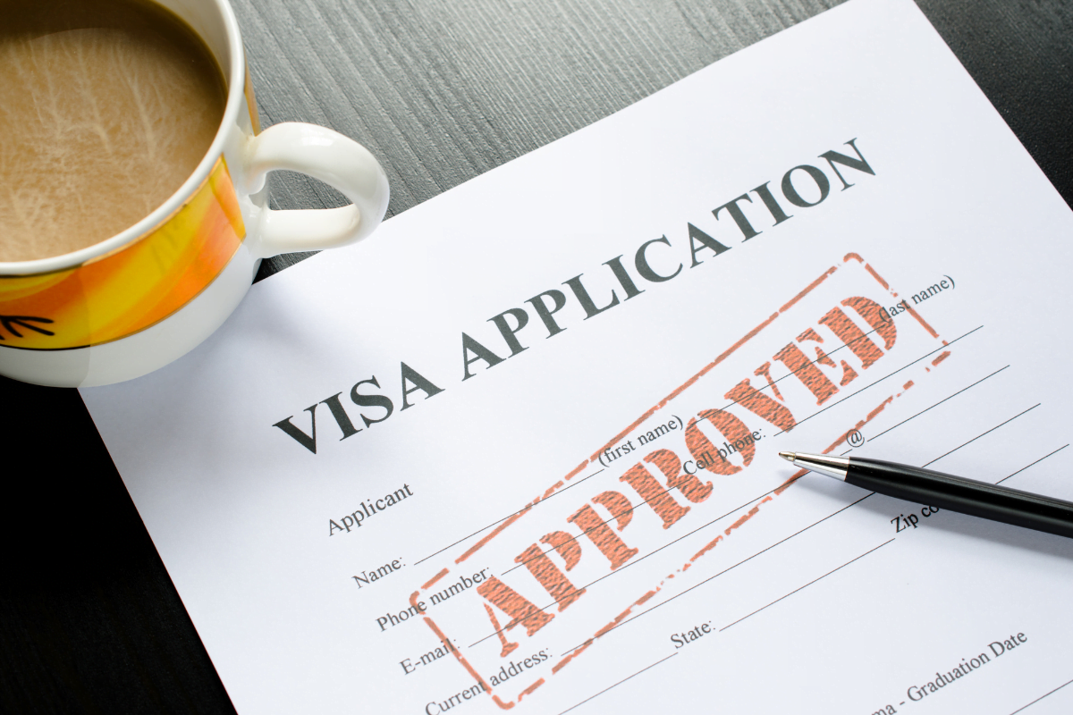 saudi visit visa status check by passport number